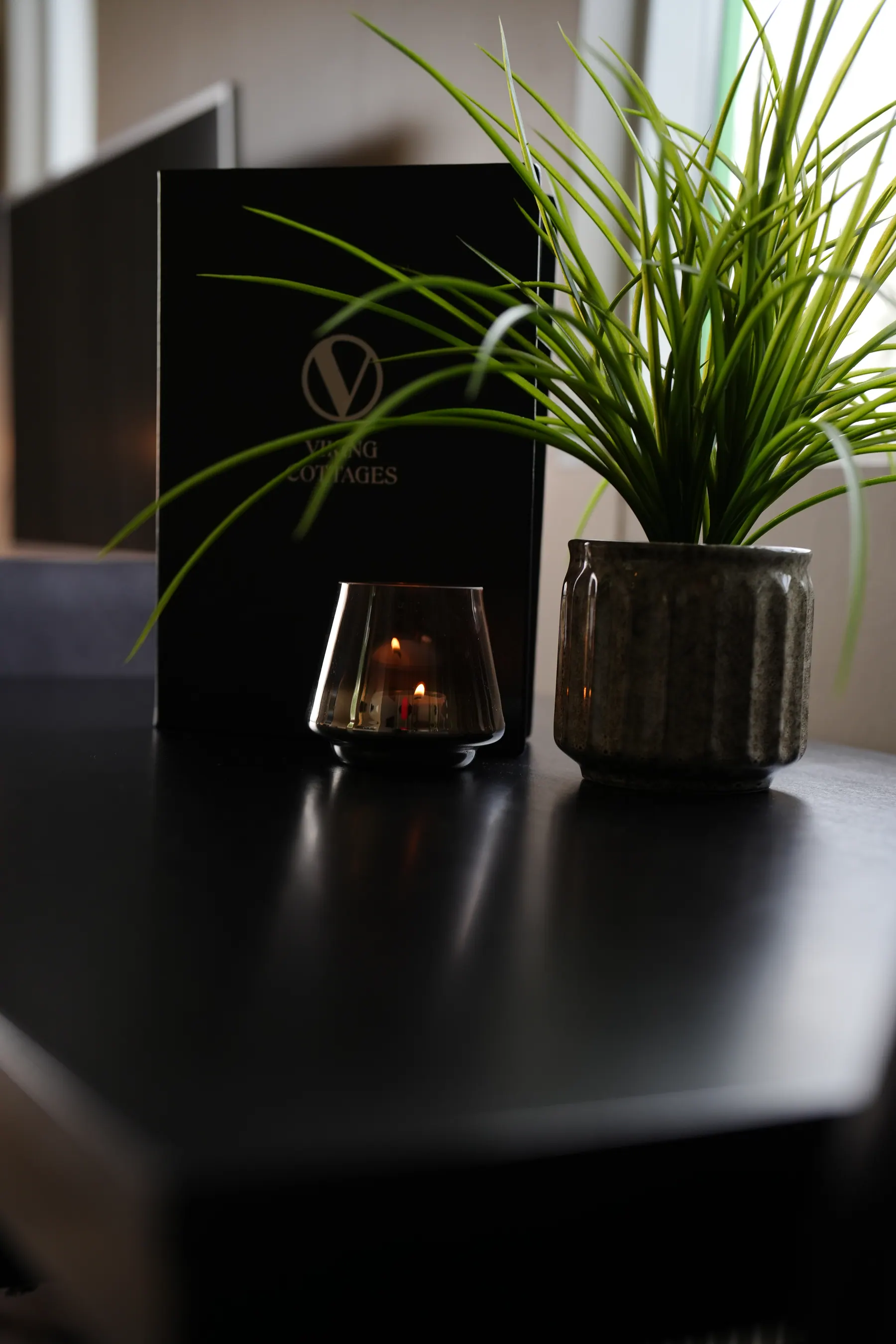 The Cottage: Plant and decor on a dark table