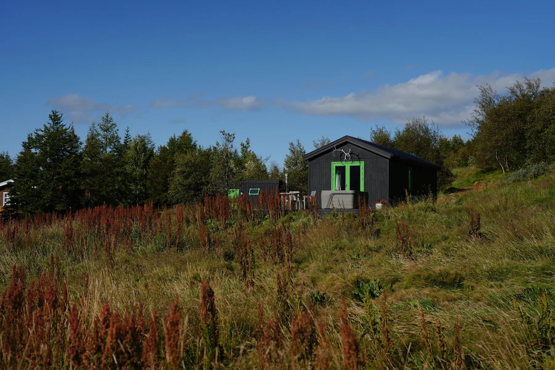 The Cottage: The Cottage among summer meadows