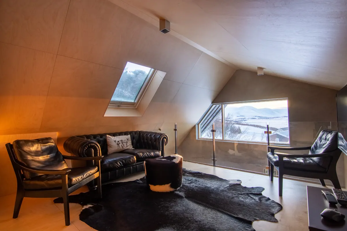 Apartment 15A: Living room with leather sofa and skylights