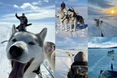 Dog sledding